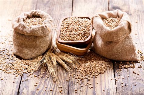 what grains are low fodmap.